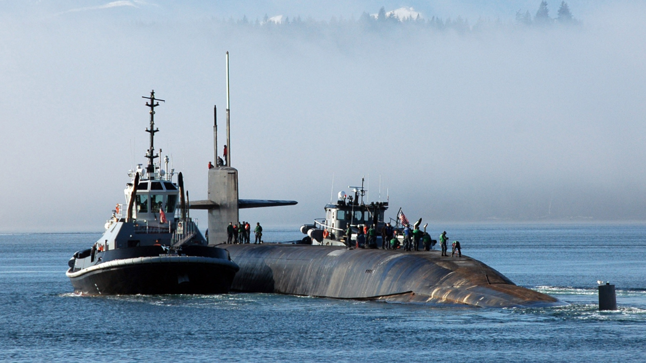 whale submarine ride