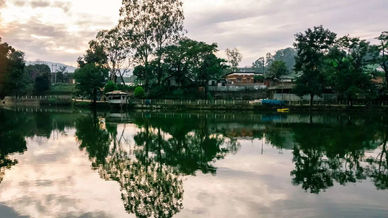 This Is The Only Hill Station In Assam And It Should Be Your Next Getaway. Credit: Canva