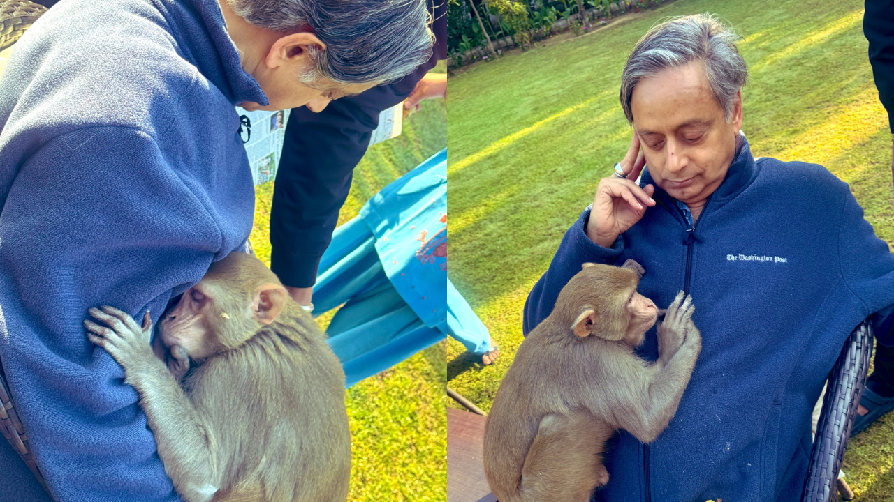 Shashi Tharoor's heartwarming encounter with  monkey