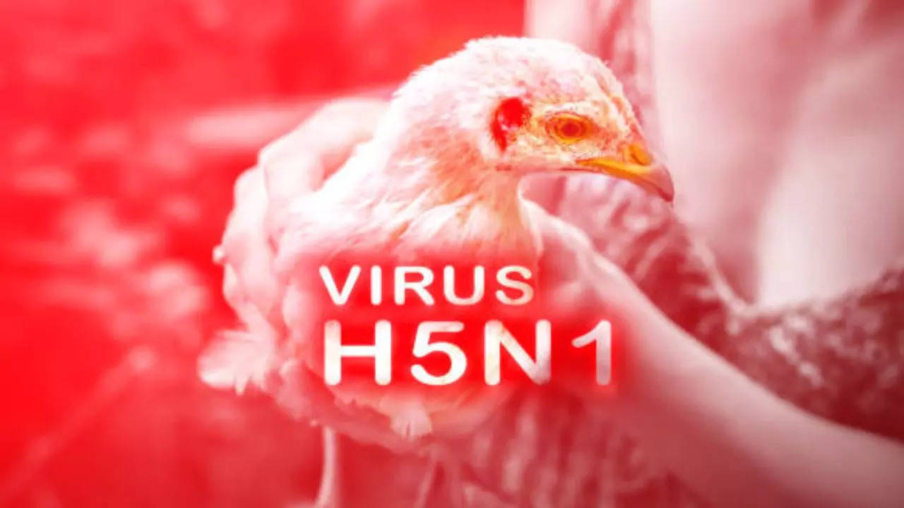 New Avian H5N1 Flu Strain Spreads Faster Than Ever: Study