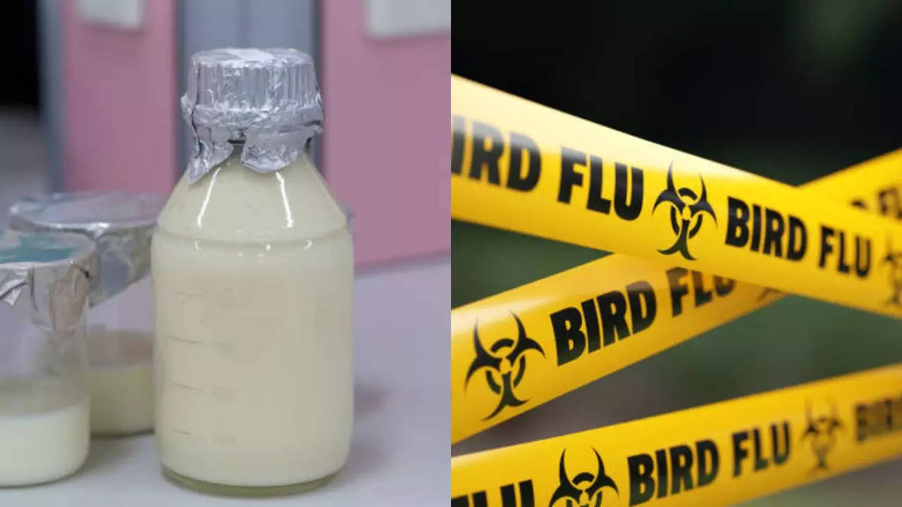 Raw Milk Recall in California Expands After Tests Detect More Bird Flu Virus 