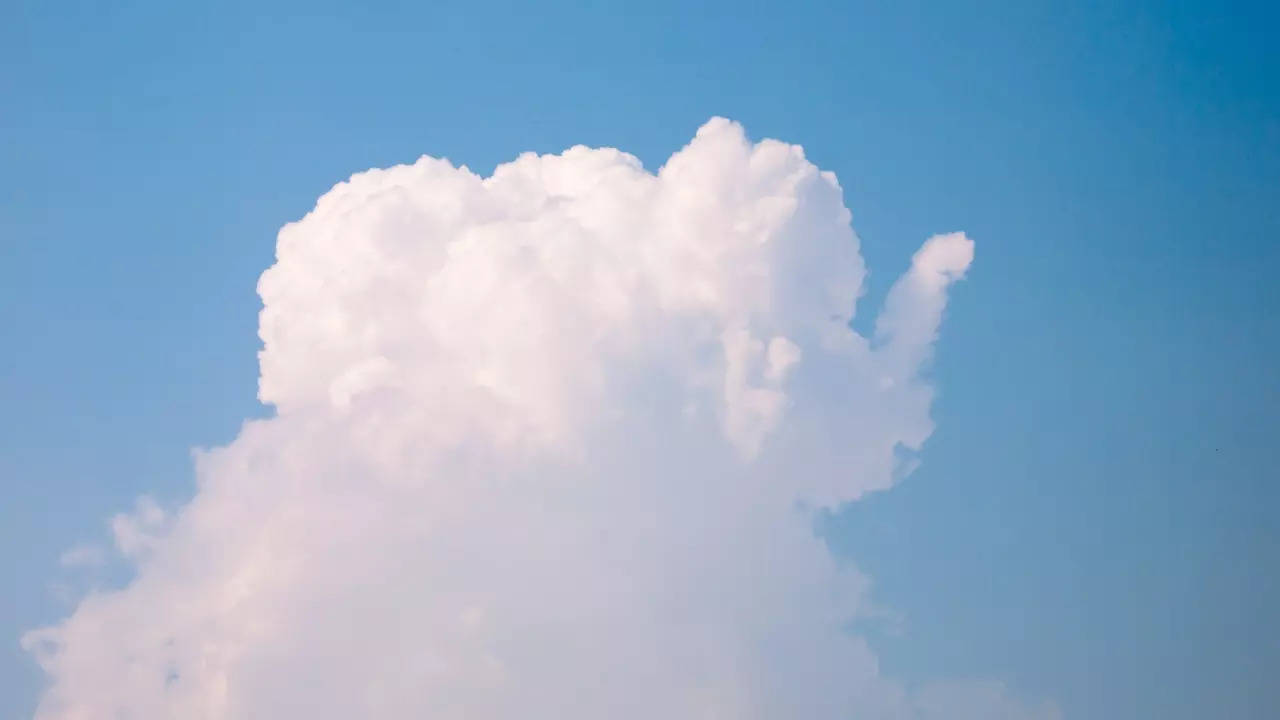 A typical cumulus cloud weights about the same as 100 elephants. | Getty Images via Canva.com