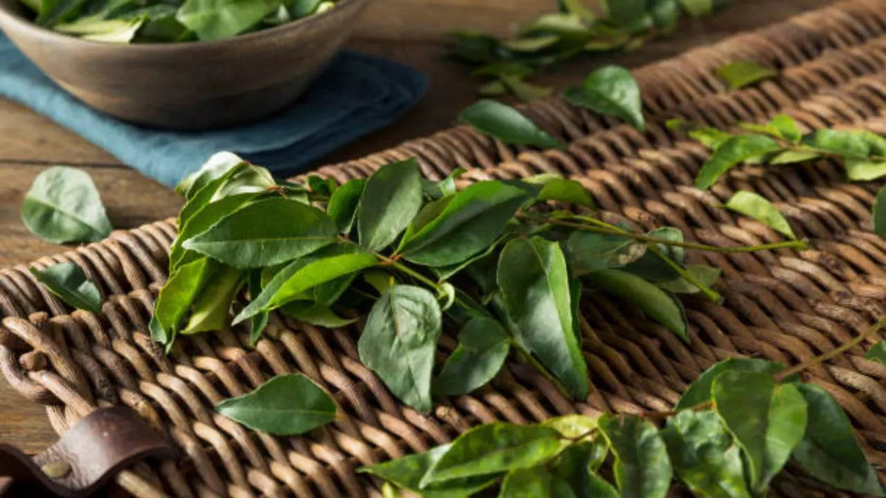 Check Out How curry leaves Can Help Regulate Your Blood Sugar Levels in diabetes