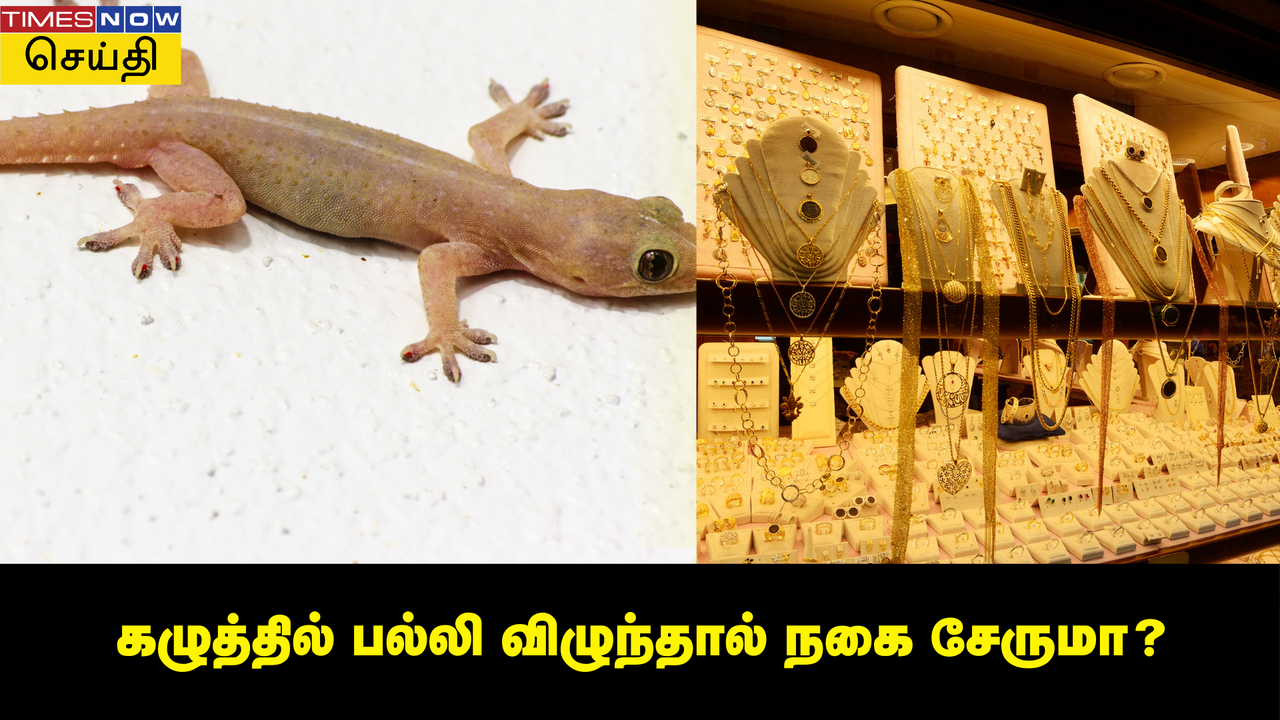  கழுத்தில் பல்லி விழுந்தால் நகை சேருமா? பல்லி விழும் பலன் பெண்களுக்கு... 