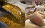 Grains For Gold अन्न धान्यासाठी चक्क विकतायत सोनं भारताच्या सीमेवर नेमकं चाललंय तरी काय