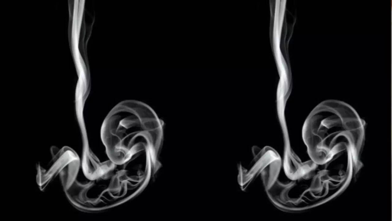 Optical Illusion Personality Test: Smoke Or Fetus? What You See First Reveals If You Are Arrogant Or Humble