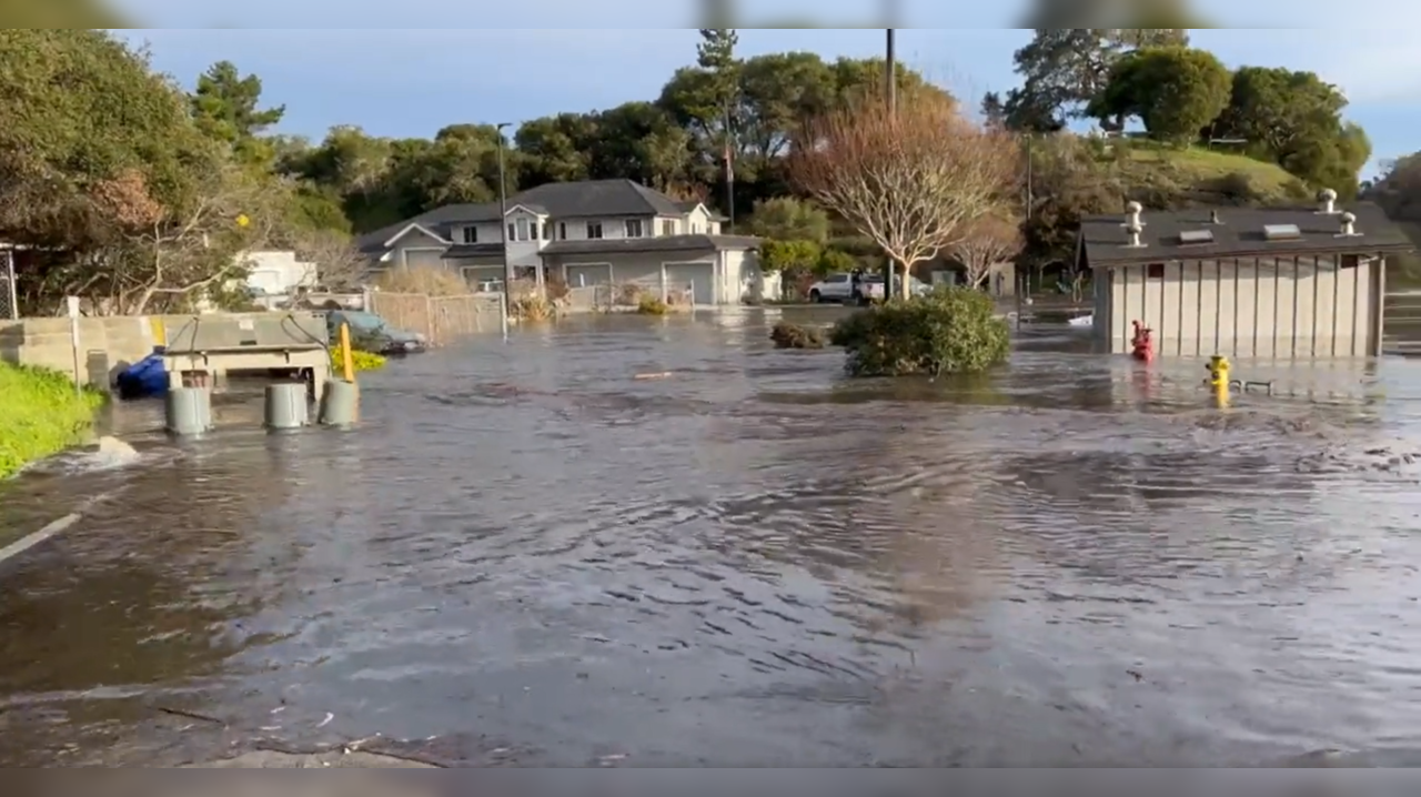 Santa Cruz Harbor  (Photo Credits: X / Twitter)