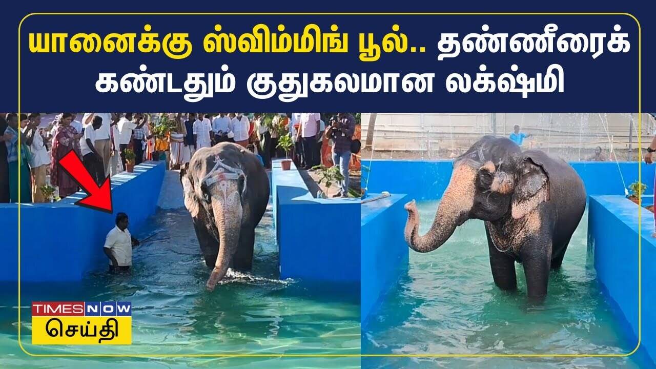  மலைக்கோட்டை கோயில் யானைக்கு நீச்சல் குளம்.. குதுகலமாய் குளித்த லட்சுமி 