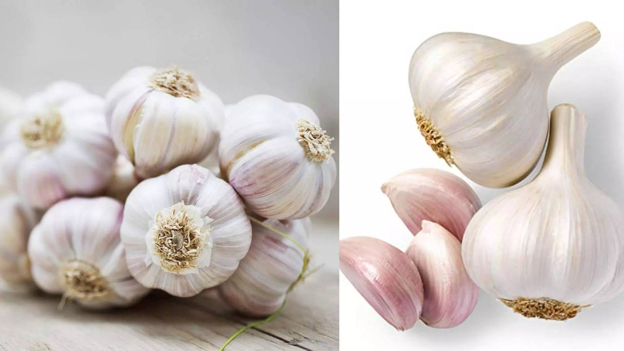 garlic