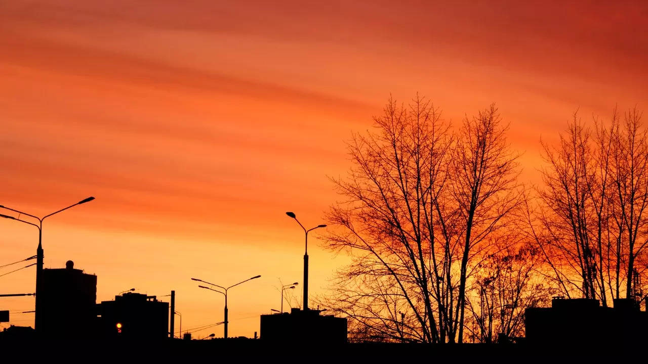 Sunlight has a spectrum of colours with different wavelengths. | Getty Images via Canva.com