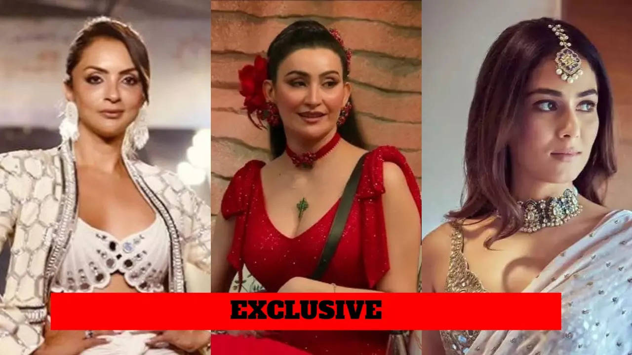 Shalini Passi Wants To Enter Bigg Boss 18 With Seema Sajdeh And Mira Rajput - Exclusive