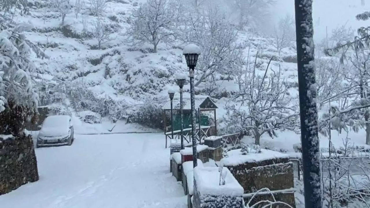 Snowfall in Shimla and other parts in Himachal Pradesh