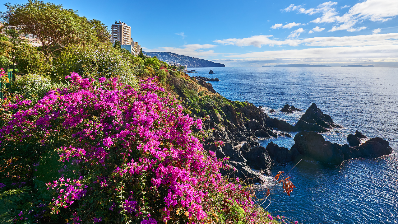 Madeira, Portugal 