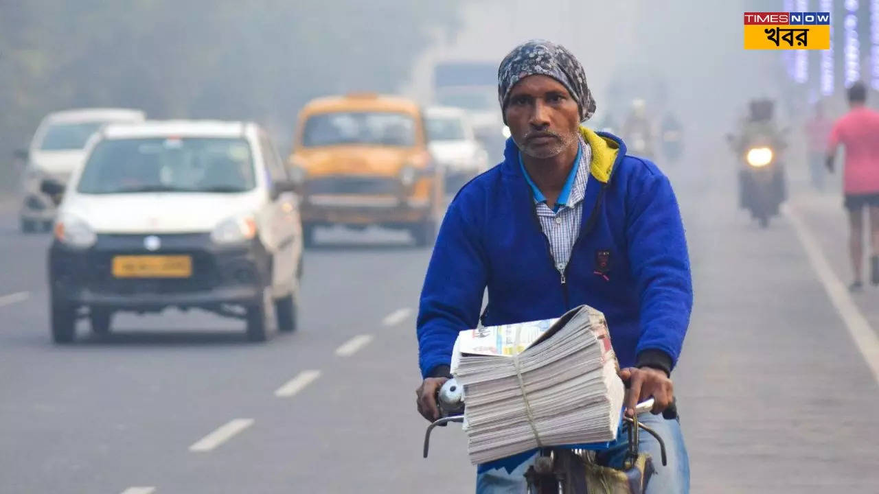 west bengal weather forecast 10 december 2024