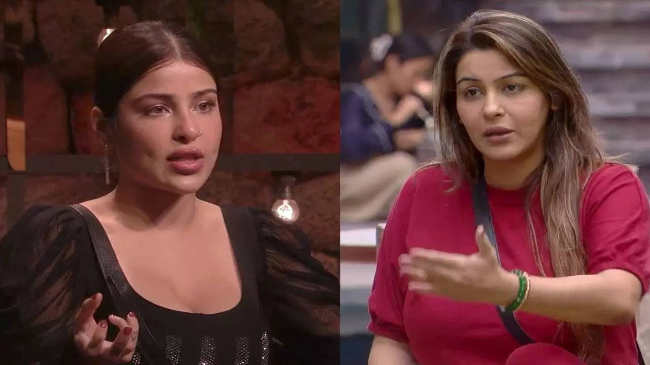 Bigg Boss 18: Wildcards Edin Rose-Yamini Malhotra Plan To Team Up And Target Others