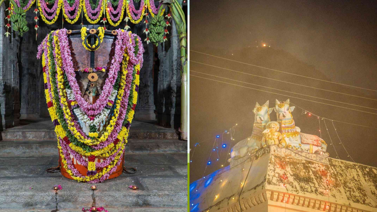  திருவண்ணாமலை கார்த்திகை தீபத்துக்கு நெய் காணிக்கை செலுத்துவது எப்படி? முழு விவரங்கள் 