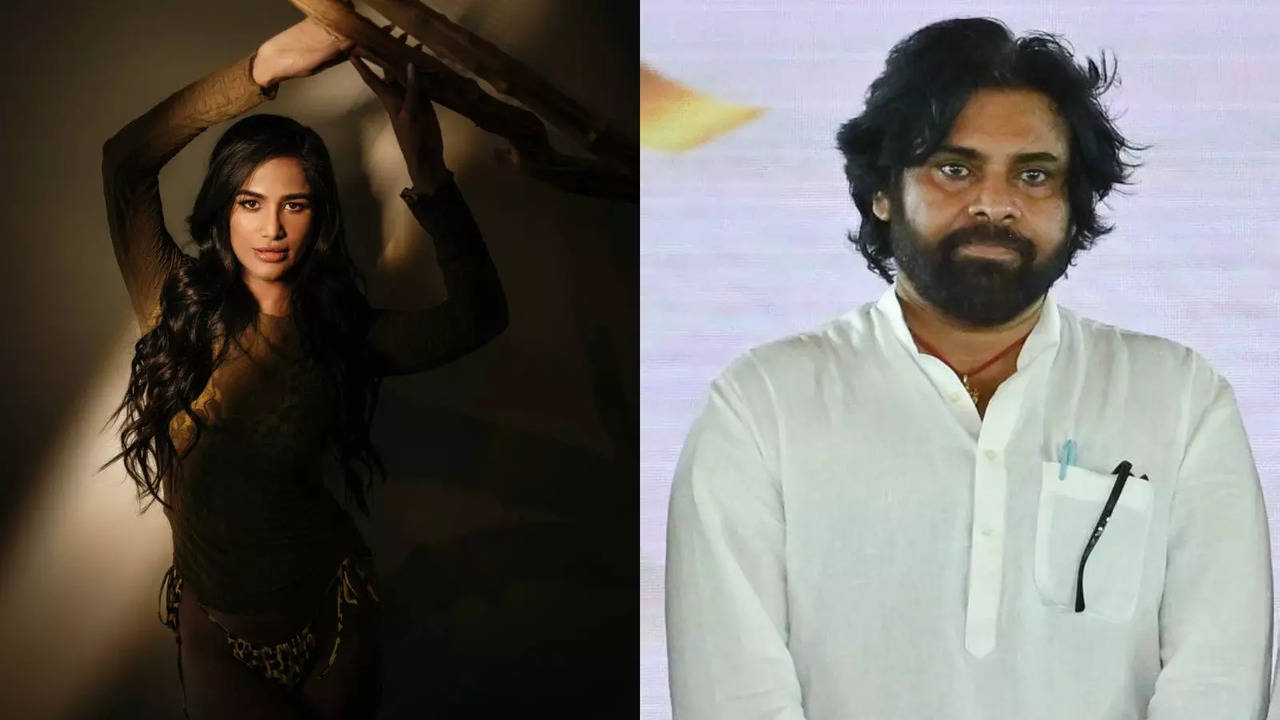 Google Year In Search 2024: WHY Poonam Pandey, Pawan Kalyan Feature In Top People List – EXPLAINED