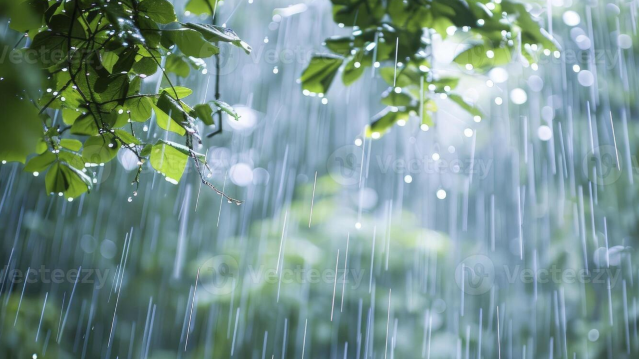 Kerala Rain Alert