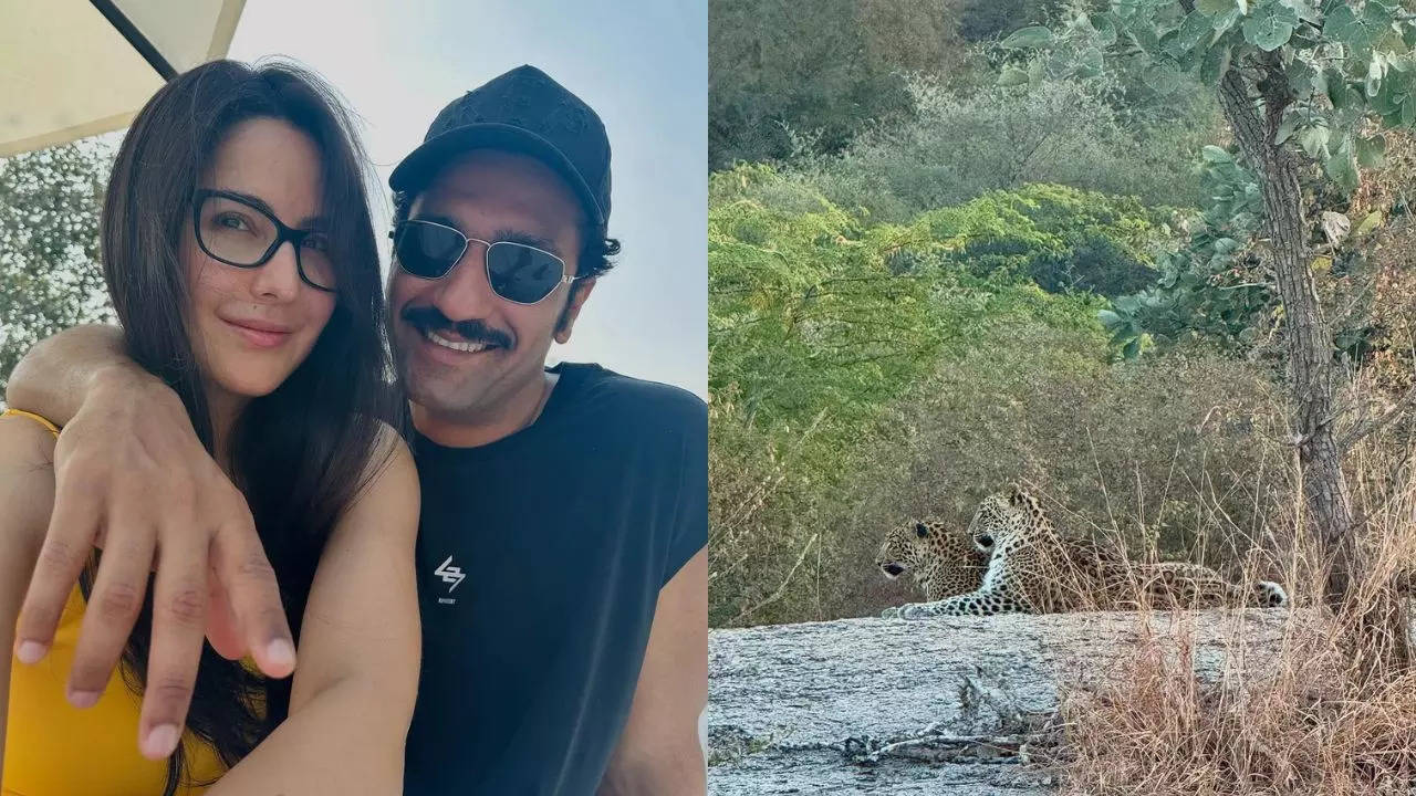 This Hotel In Rajasthan Is Katrina Kaif And Vicky Kaushal’s Secret Vacation Spot!