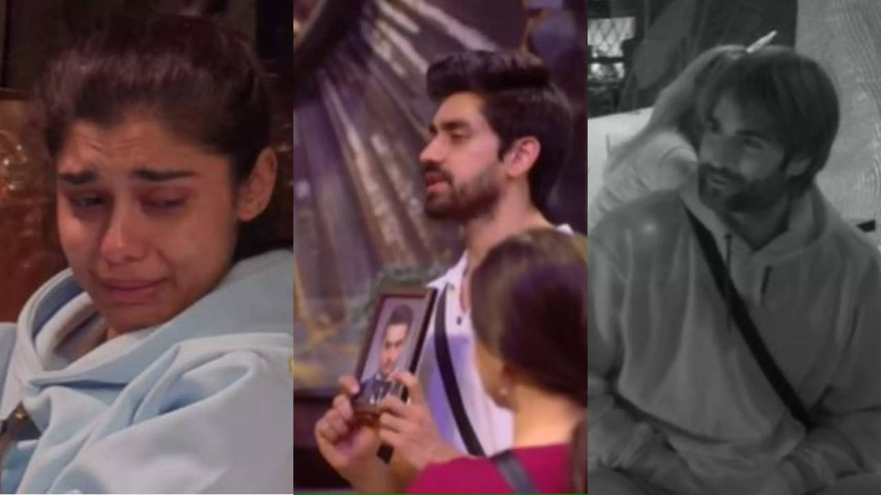 Bigg Boss 18: Eisha Singh Breaks Down As Avinash Mishra Goes Against Her, Leaves Vivian Dsena SHOCKED - Watch