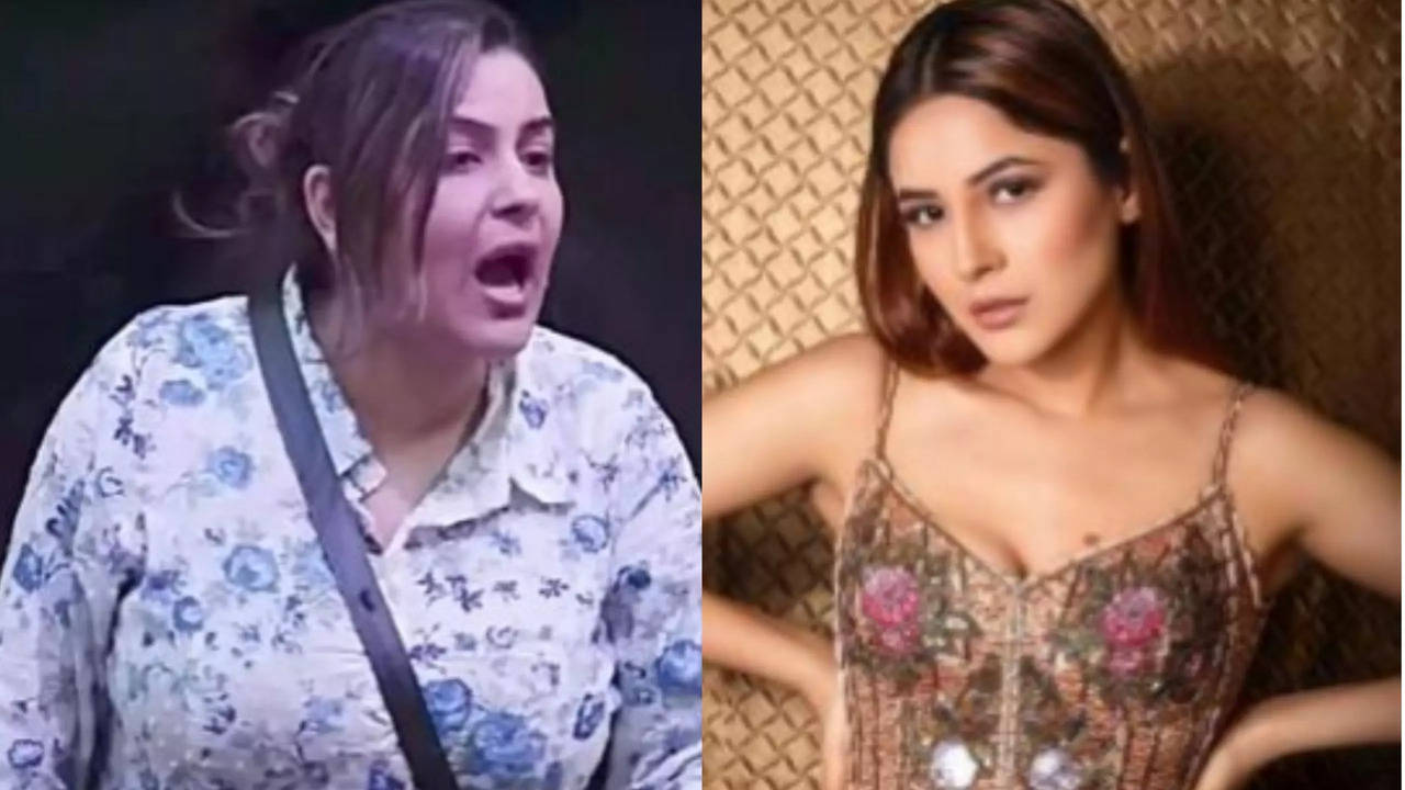 Bigg Boss 18: Yamini Malhotra Losses Her Calm As She Gets Compared To Shehnaaz Gill