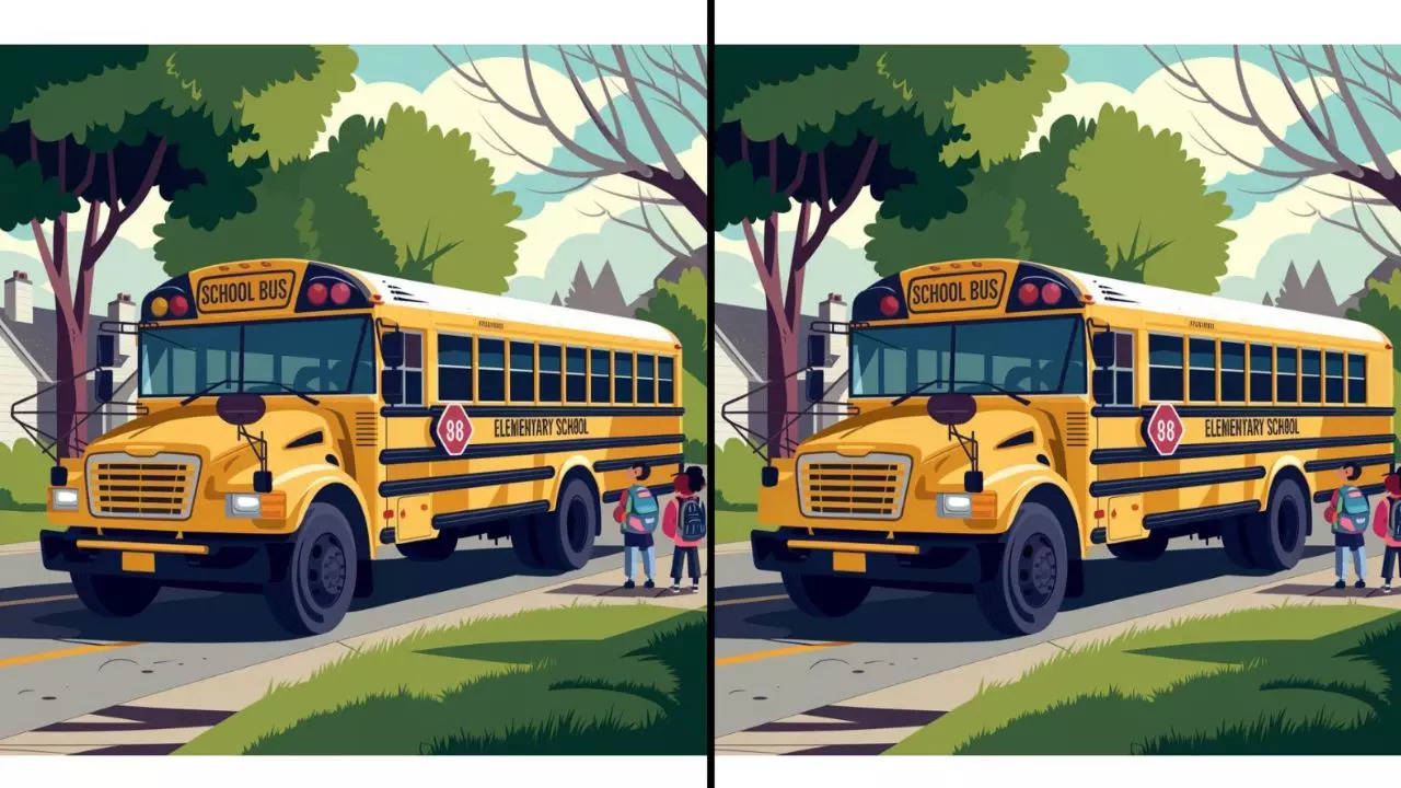 Viral spot-the-difference puzzle challenges users with school bus scene ...