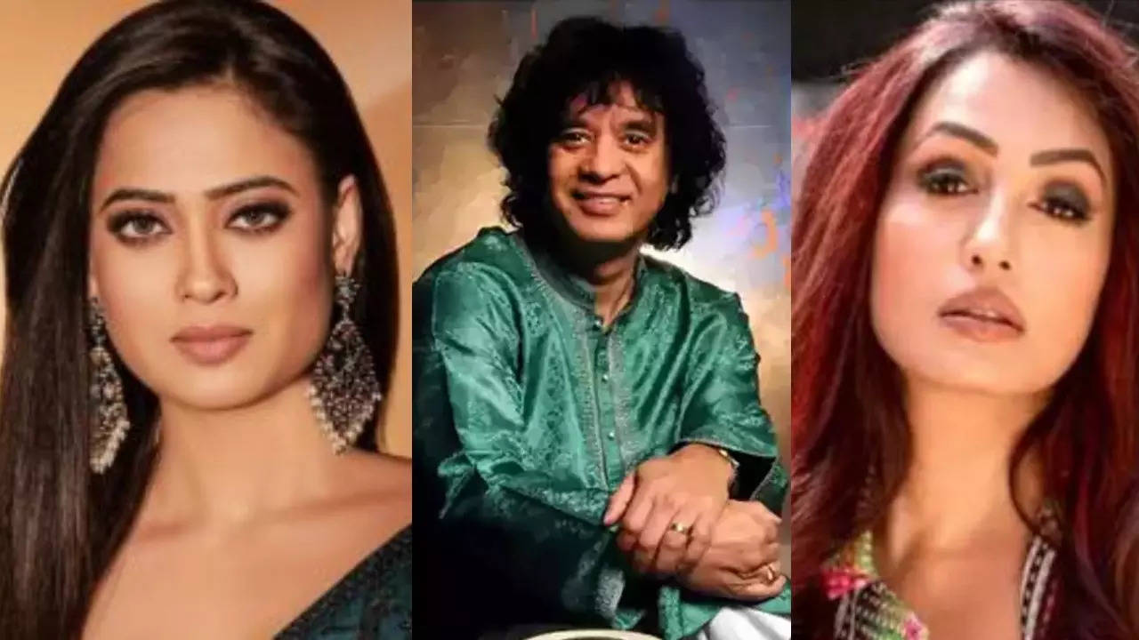 'Lost A Legend': Shweta Tiwari To Kashmera Shah, TV Celebs Mourn Tabla Maestro Zakir Hussain's Death