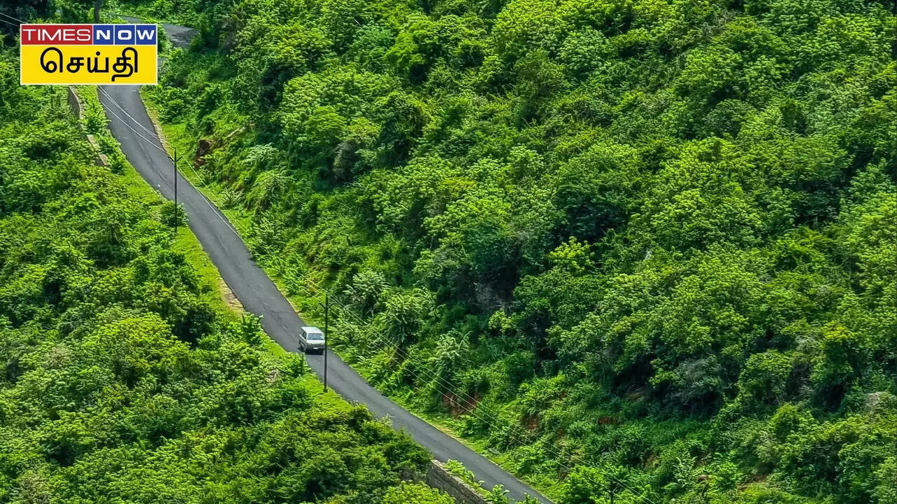  திருச்சியில் ஒரு குட்டி அமேசான்… பட்ஜெட் டூர் போக பக்காவான பச்சமலை..! 