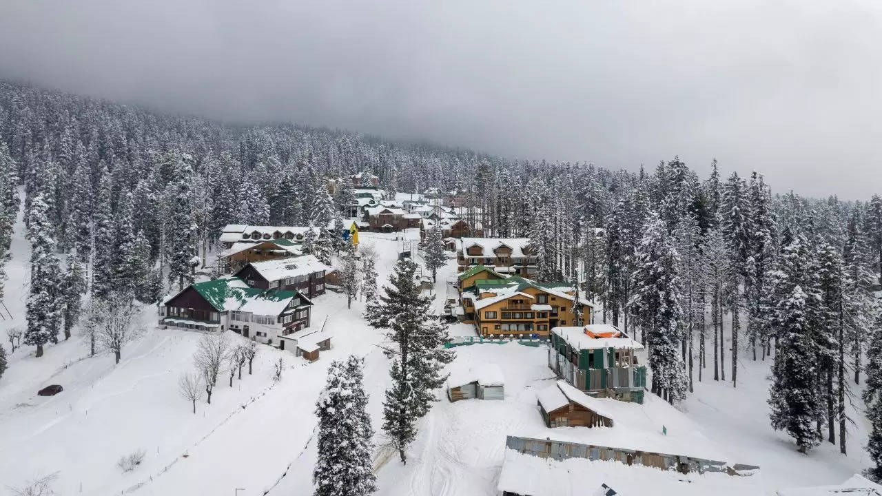 Things To Do In Gulmarg This Winter. Credit: Canva