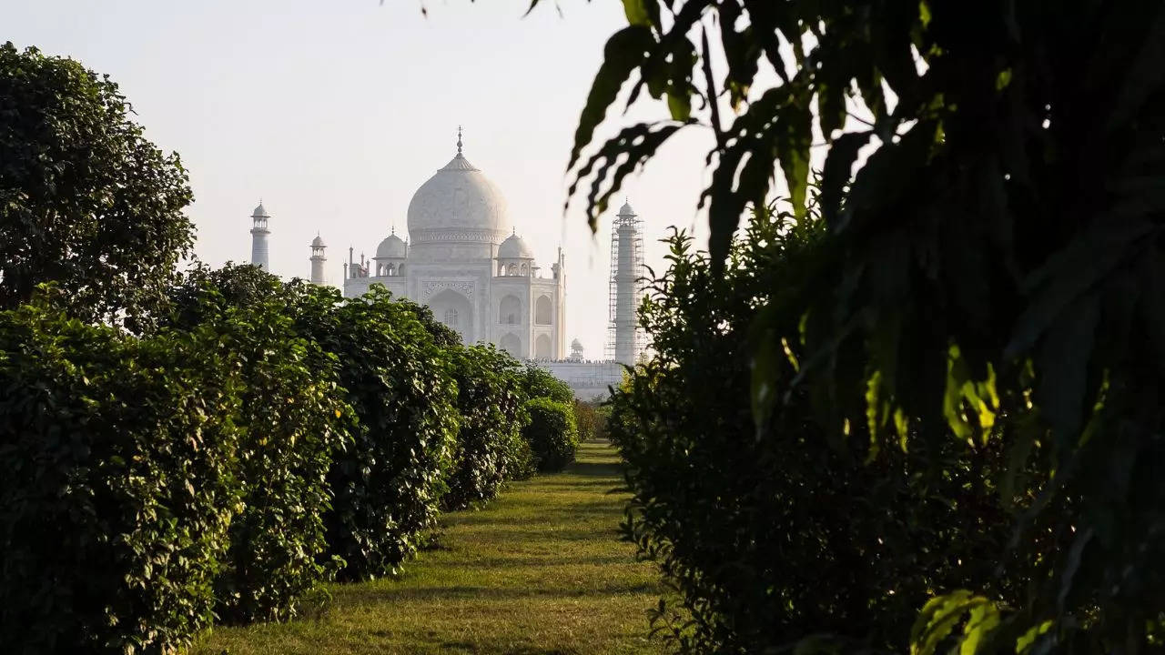 5 Offbeat Experiences In Agra That Need To Be Talked About. Credit: Canva