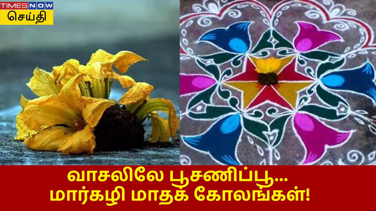  மார்கழி மாதம் மட்டும் கோலம் மீது பூசணிப்பூ வைப்பது ஏன் தெரியுமா? 