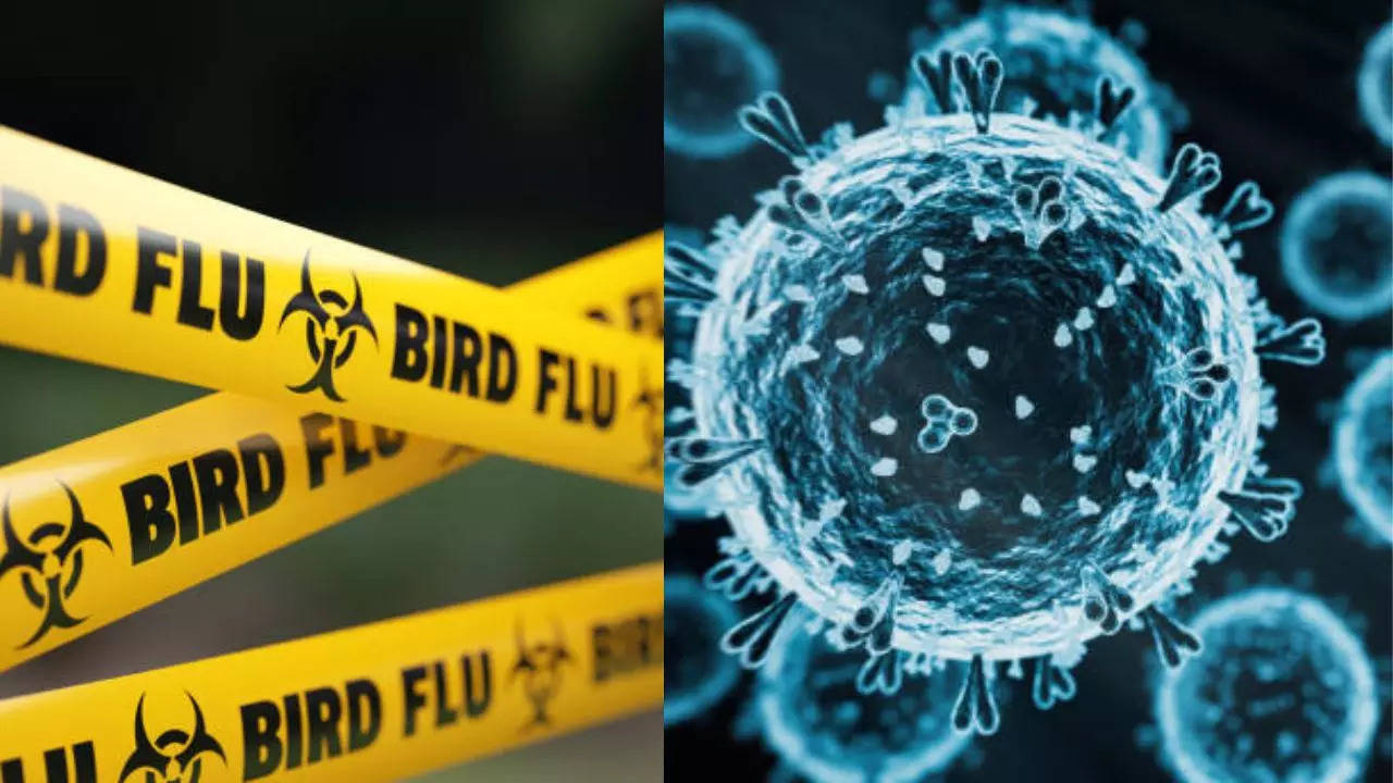 Louisiana Patient Is First Severe H5N1 Bird Flu Case in the US 