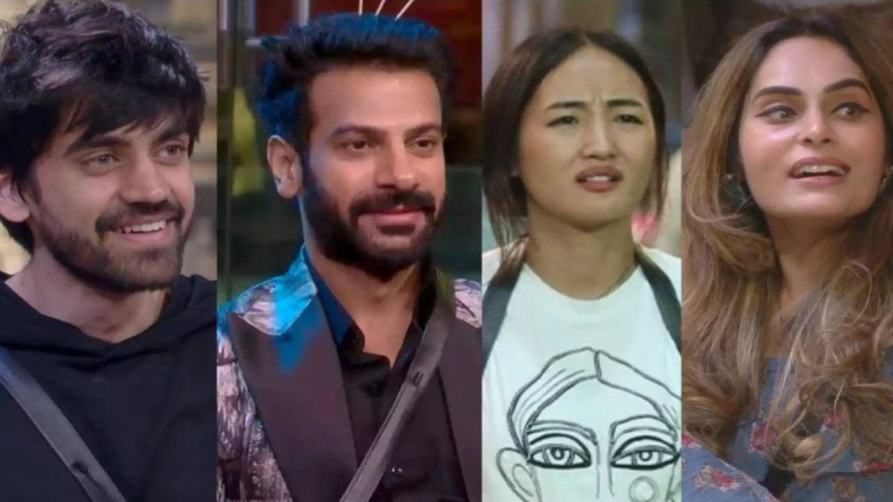 Bigg Boss 18: Avinash Mishra, Karan Veer Mehra Spark Debate Over Shrutika Arjun-Chum Darang's Friendship Dynamics