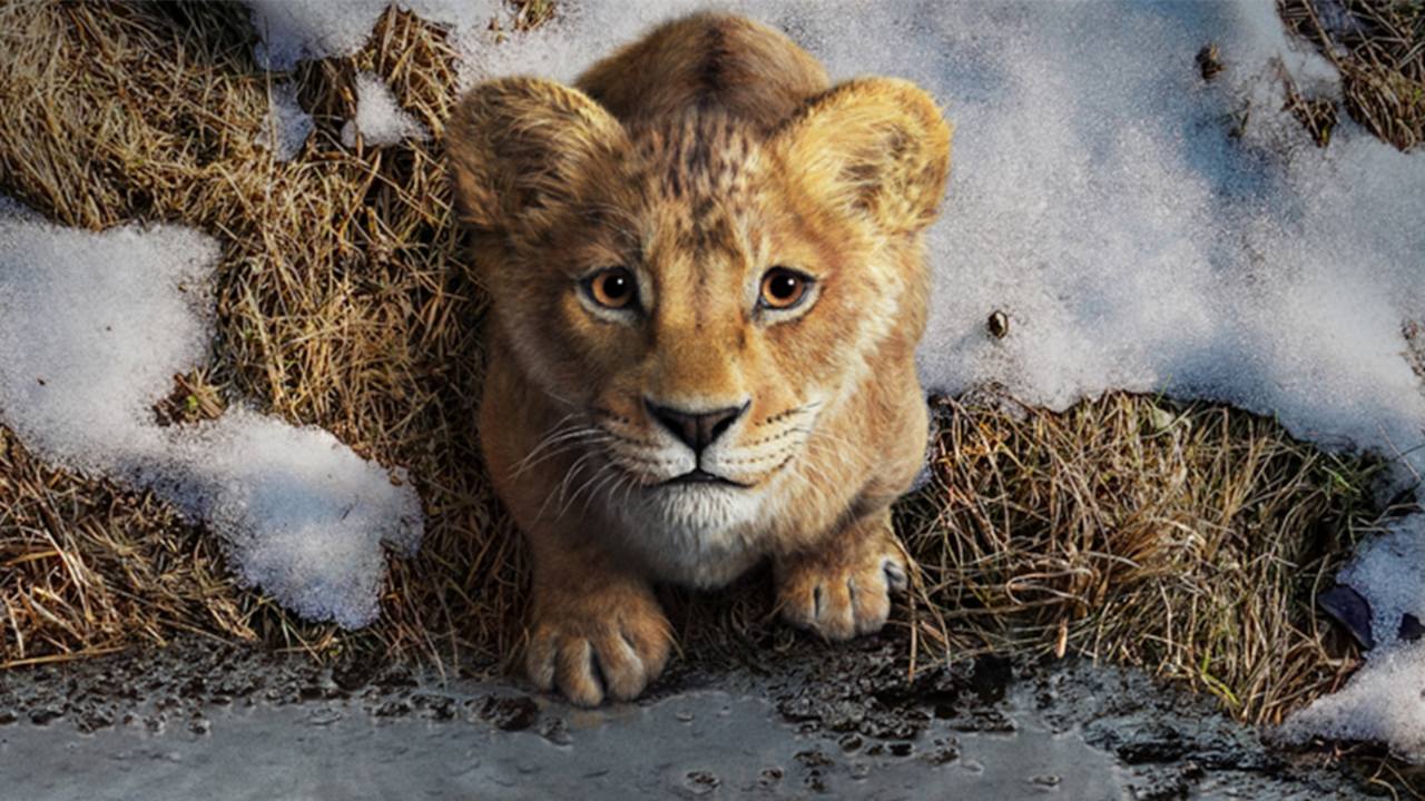 Mufasa - The Lion King Will Be Released On The OTT Platform- Where And When To Watch The Movie…?