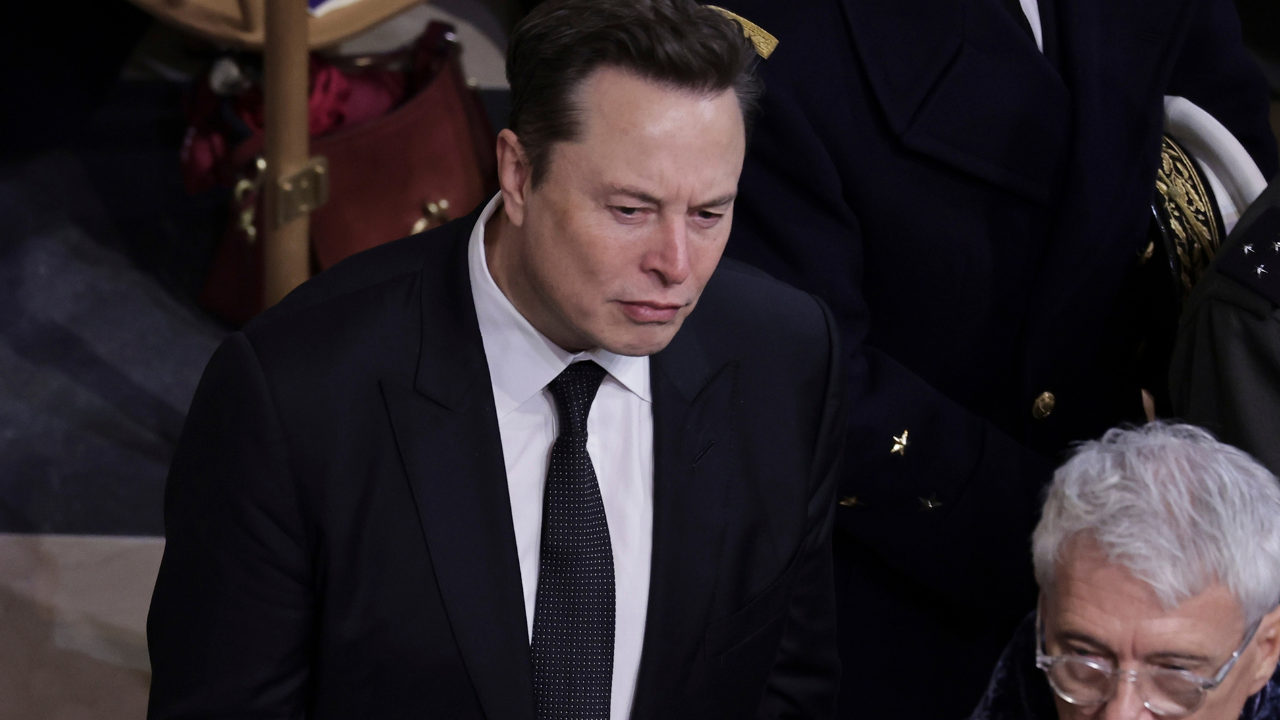 elon musk (5)