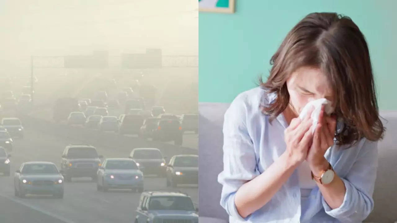 Smog And Winter: Allergy Triggers Delhi Residents Need To Watch Out