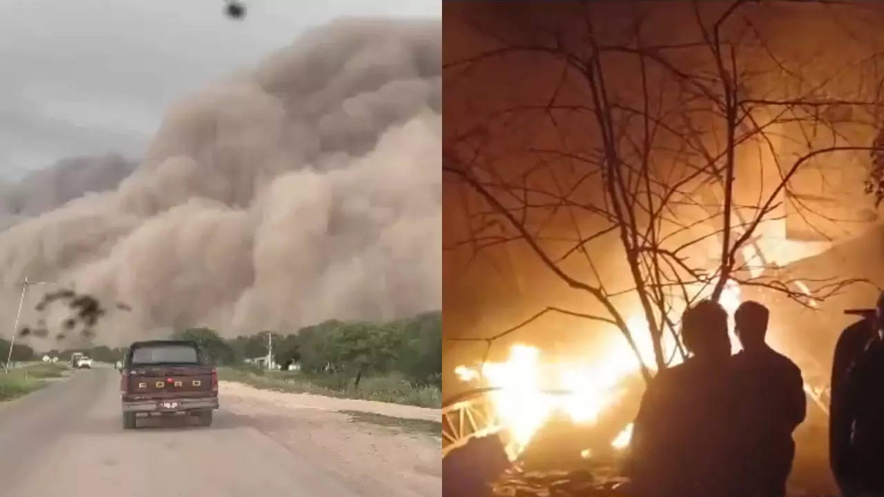 From a dust storm in Argentina to a fire in Indore, a glimpse of today's viral videos. | Credit: Social media