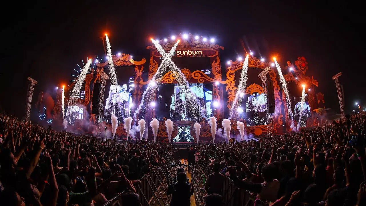 Kerala High Court says no to Sunburn festival in landslide-hit Wayanad