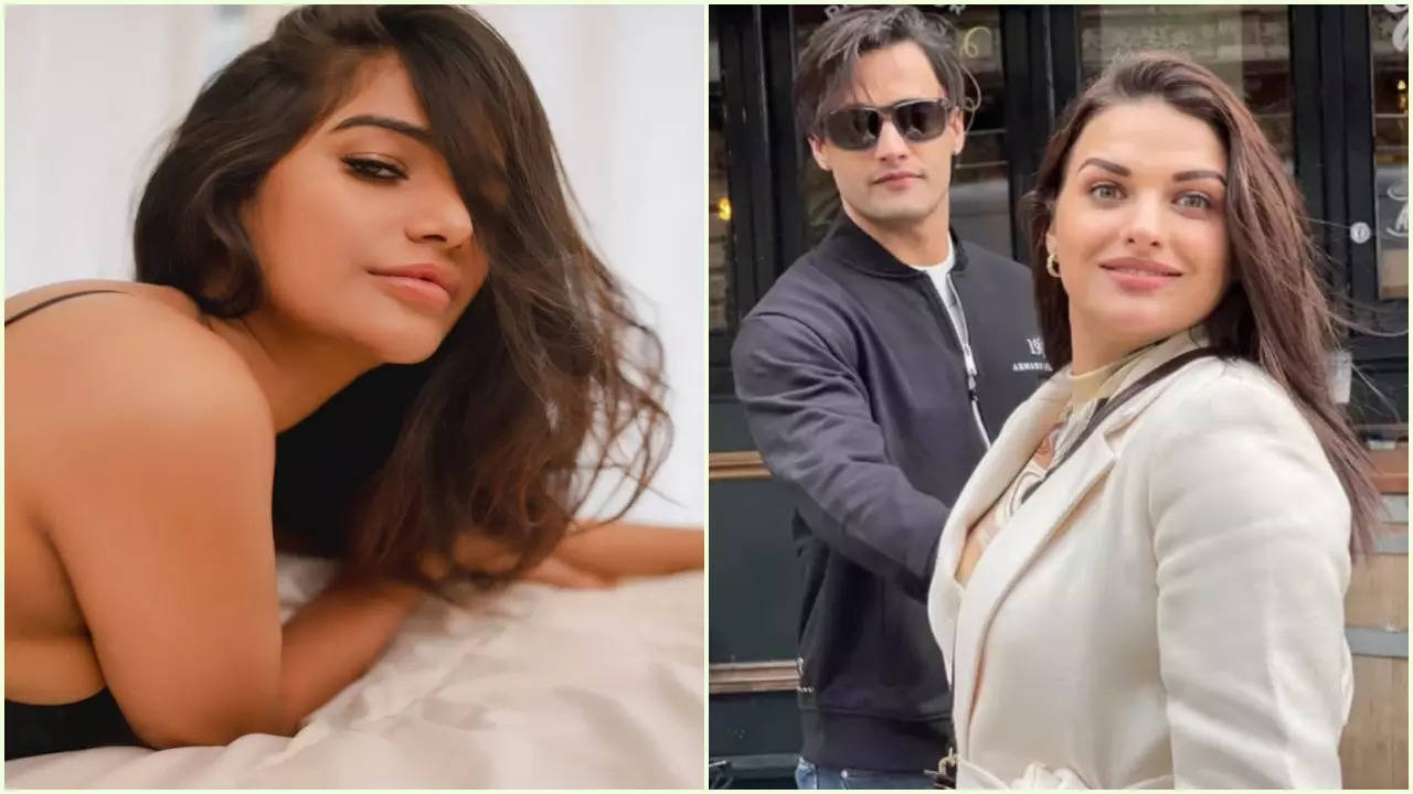 Recap 2024: Poonam Pandey’s Fake-Death To Asim-Himanshi’s Breakup, Top TV Scandals Of The Year