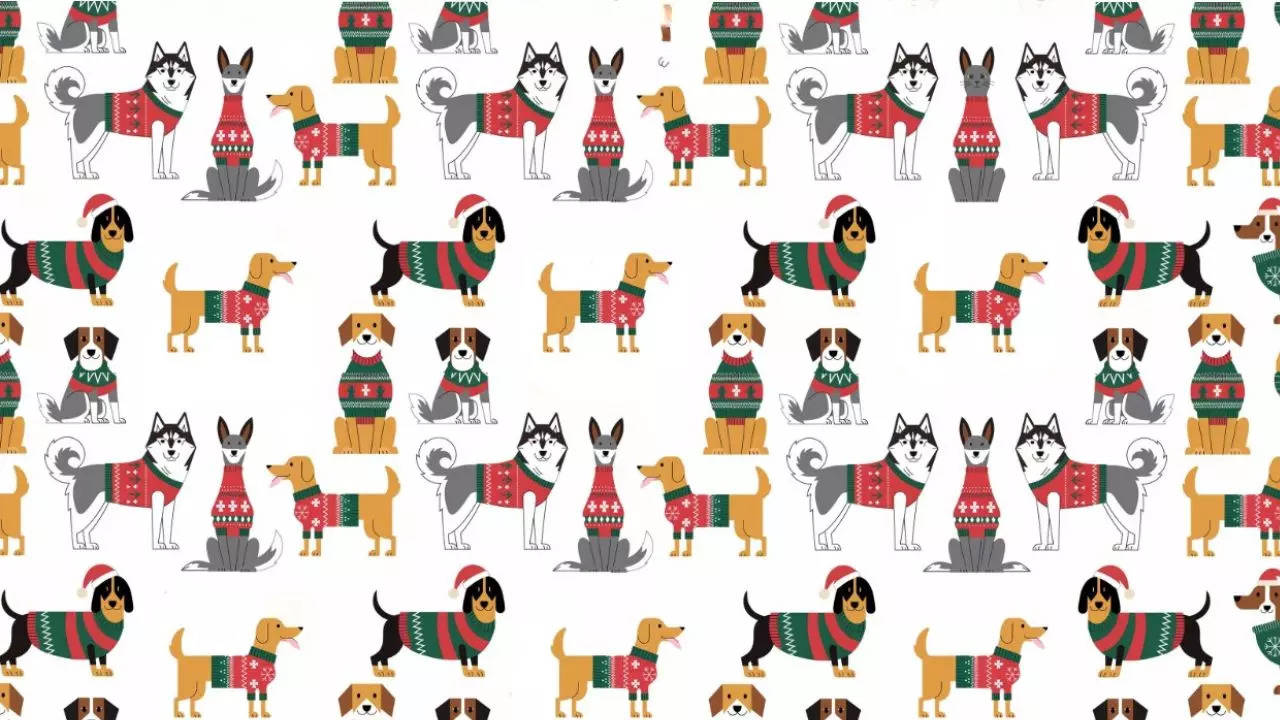 Find The Cat Puzzle: Can You Spot The Sneaky Cat Among The Festive Pups?