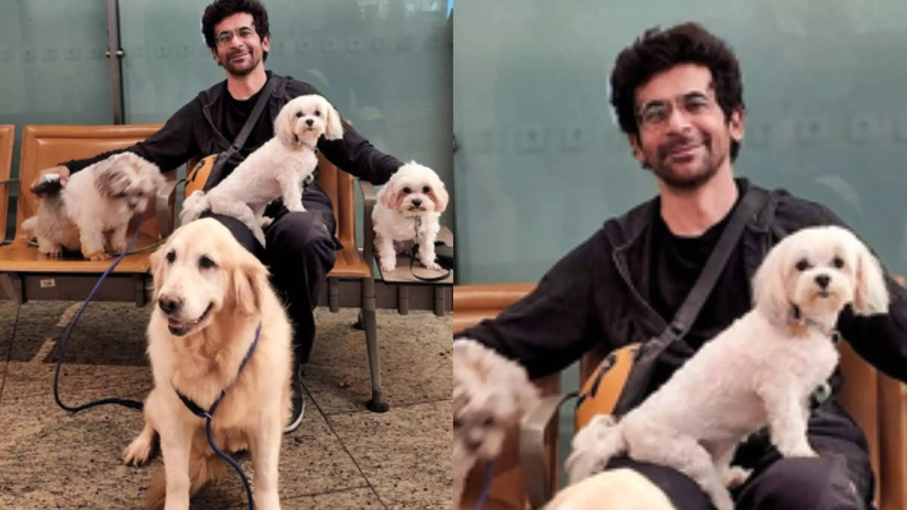 Comedian Sunil Grover's Enjoys A Pawsome Adventure With His Furry Friends