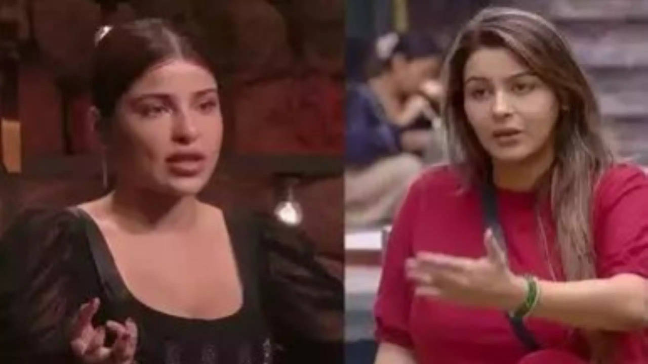 Bigg Boss 18 Eviction: Edin Rose-Yamini Malhotra Get Eliminated, Kashish Kapoor Breaks Down