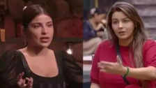 Bigg Boss 18 Eviction Edin Rose-Yamini Malhotra Get Eliminated Kashish Kapoor Breaks Down