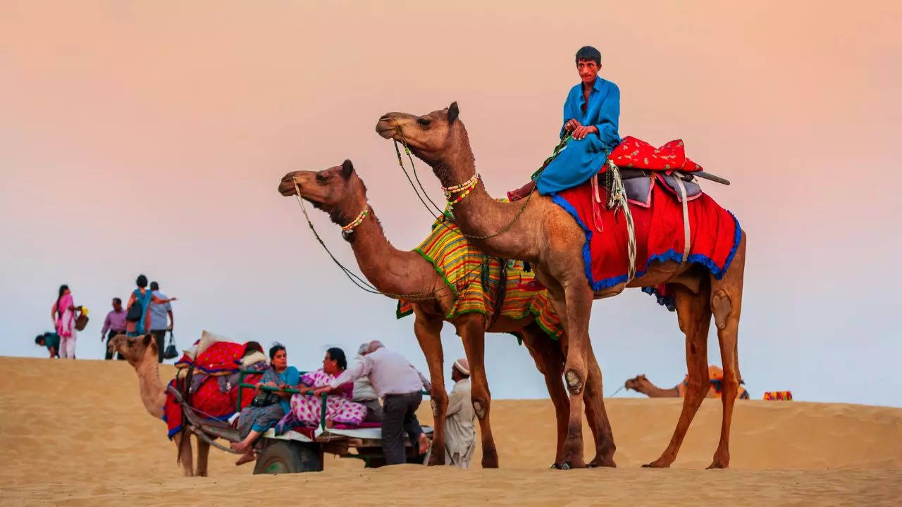 Desert Dreams: The Best Places To Stay In Jaisalmer. Credit: Canva