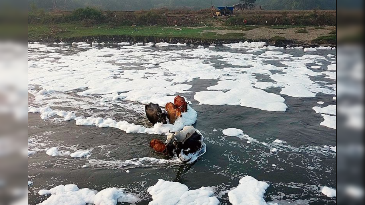 Ammonia levels rise in Yamuna