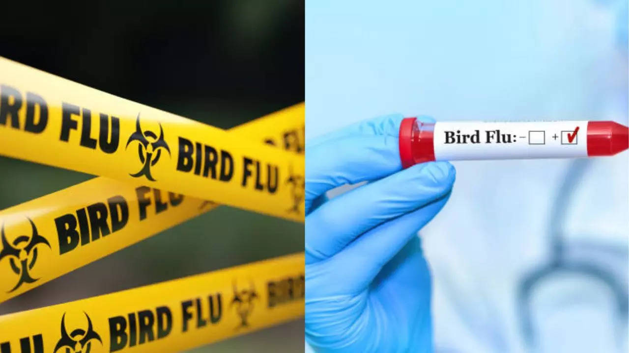 new Zealand Says Highly Pathogenic H7N6 Avian Flu Has Been Contained