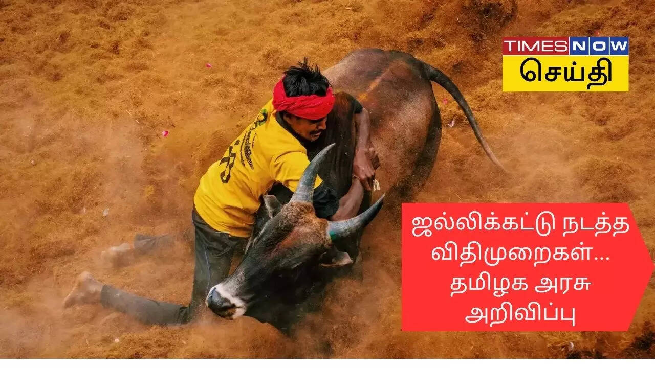 Jallikattu images