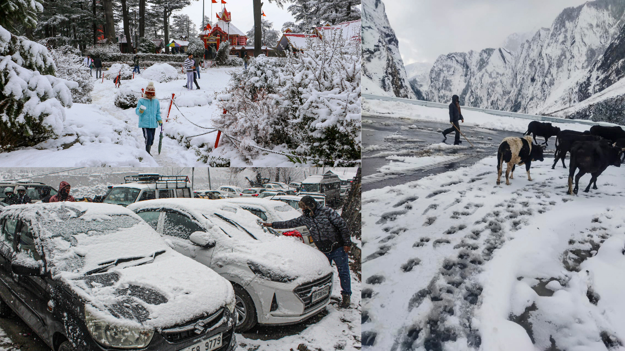 Snowfall covers north India