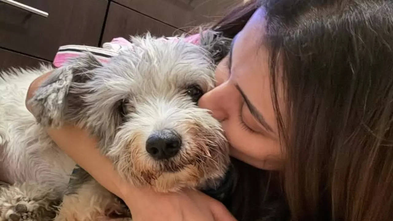 Trisha Krishnan's 'Son' Zorro Passes Away On Christmas. Heartbroken Actress Pens Note