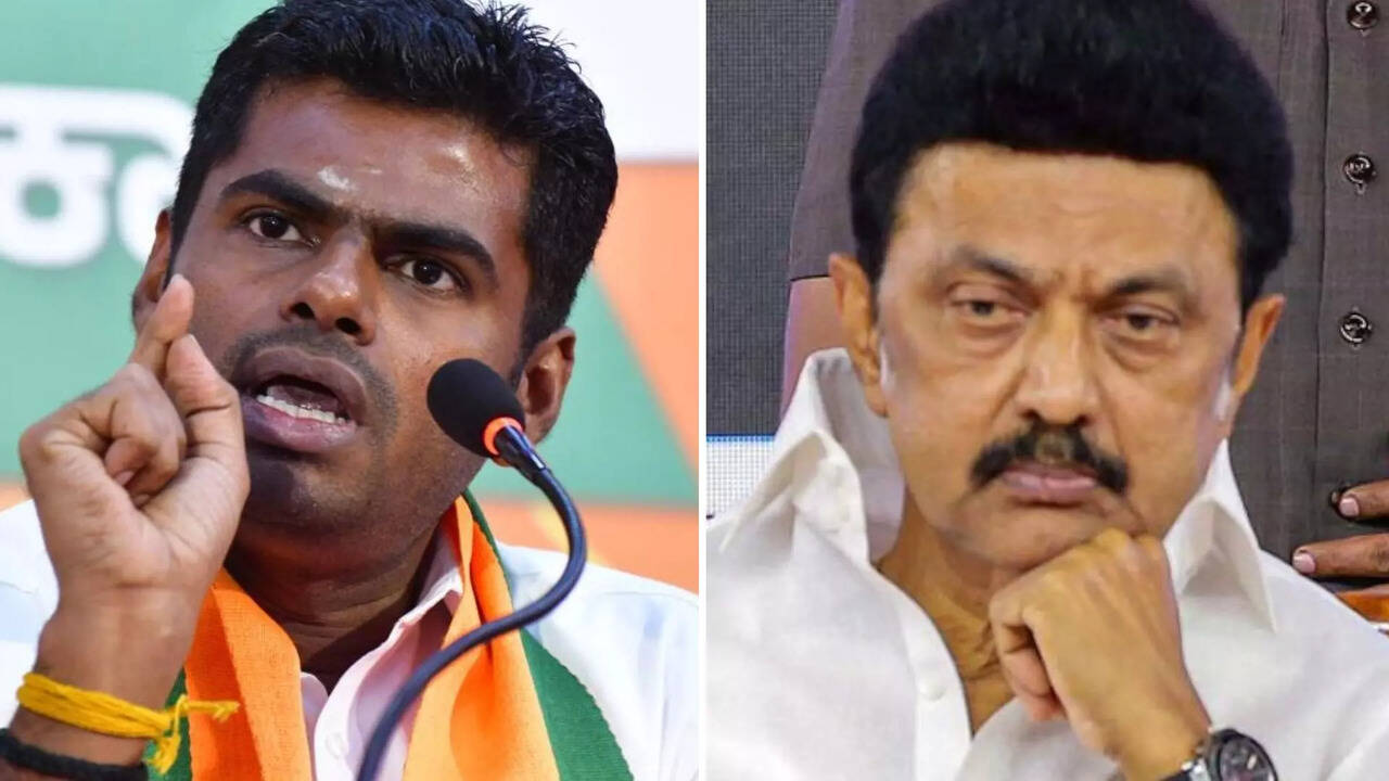  அண்ணா பல்கலை வளாகத்தில் மாணவிக்கு பாலியல் தொல்லை.. முதல்வர் பொறுப்பேற்க வேண்டும் - அண்ணாமலை! 